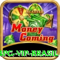 14pg VIP Brasil