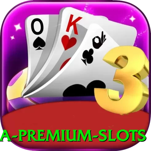 80a Premium Slots - vip