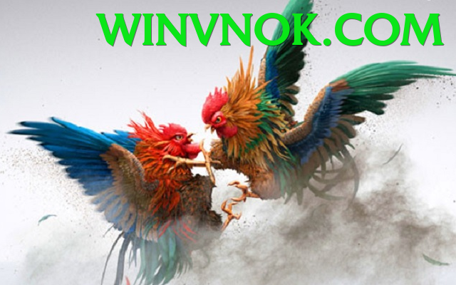 Đá Gà Trực Tiếp - winvn - Giftcode