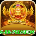 win6 BR Premium